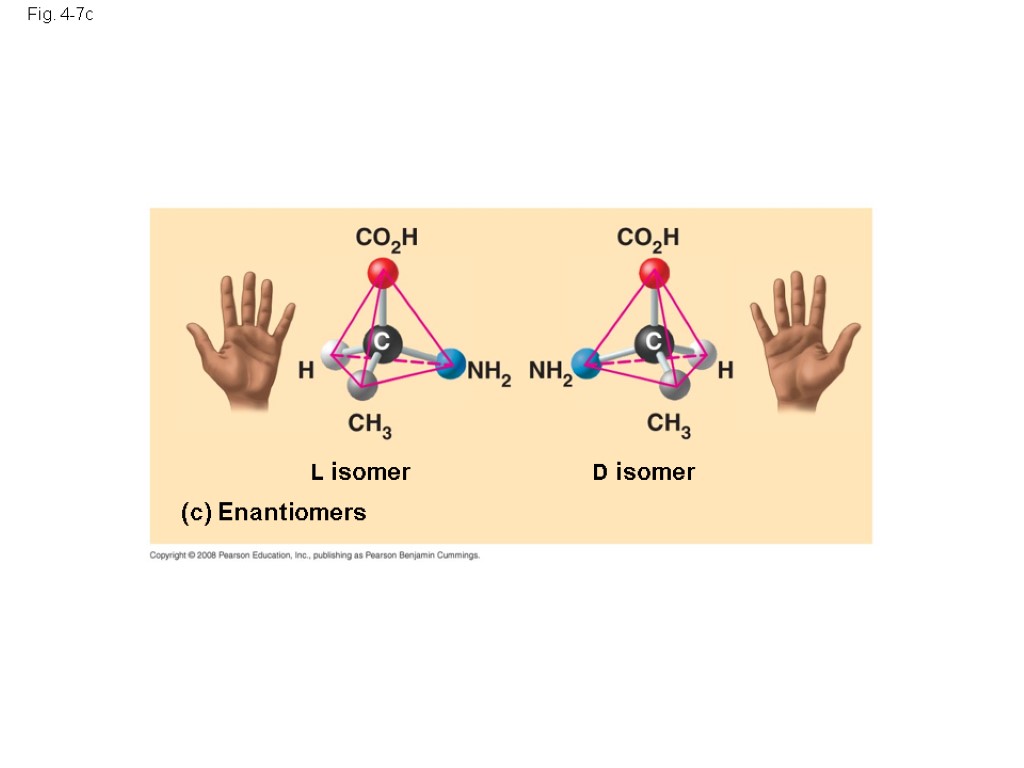 Fig. 4-7c (c) Enantiomers L isomer D isomer